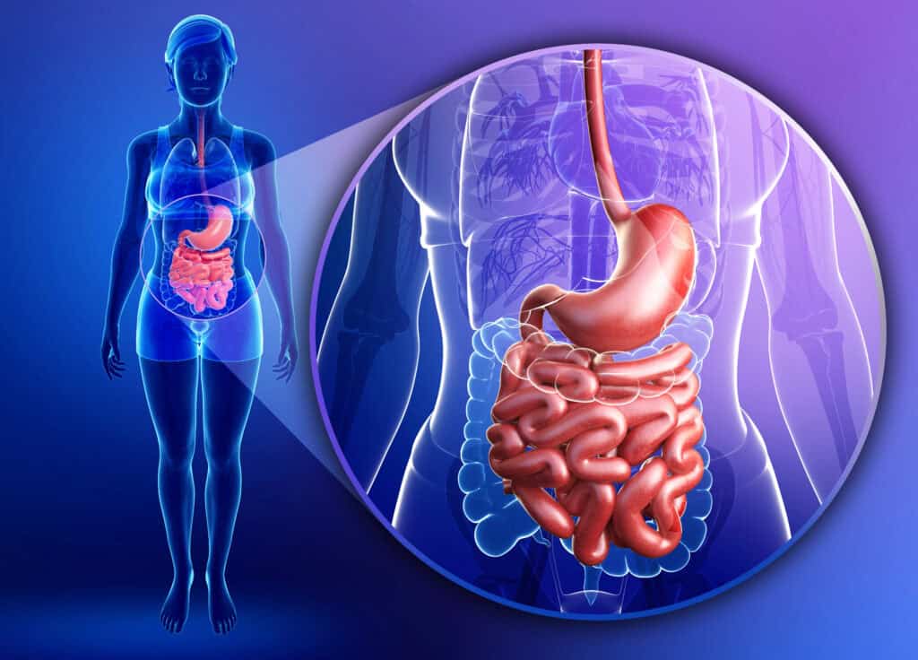 alcohol and cancer esophagus cancer and alcohol