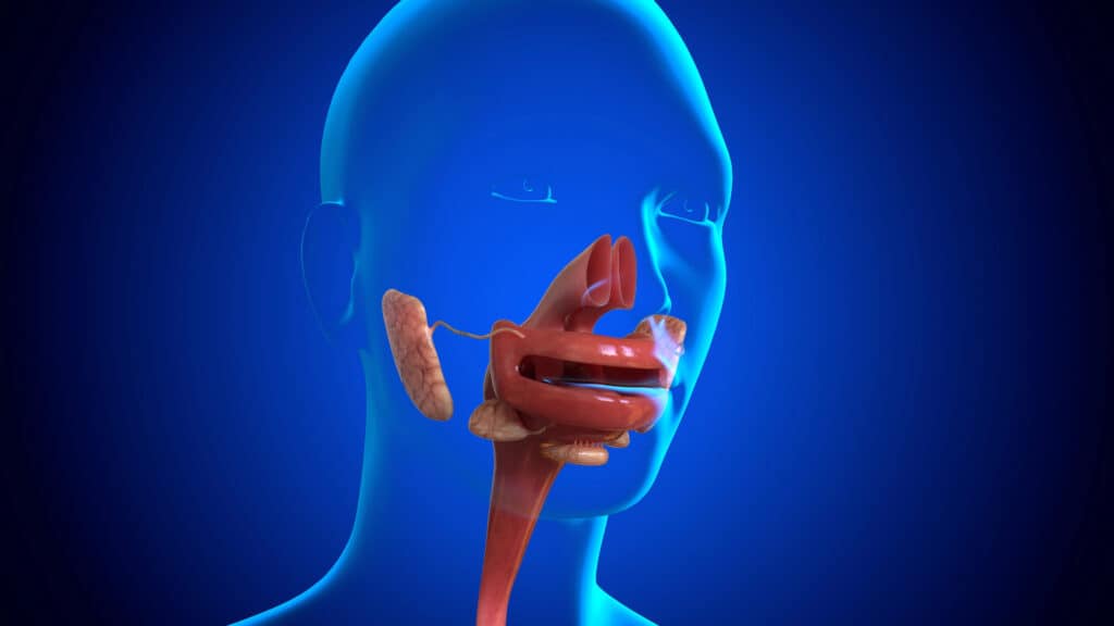 esophagus sphincter 7 exercises for esophagus sphincter
