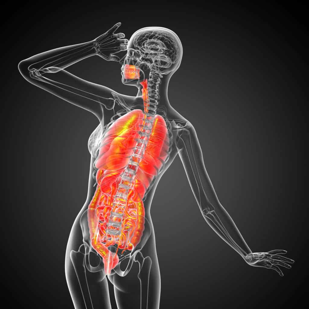 esophagus sphincter esophageal recovery,